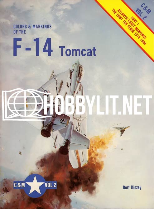 Color & Markings of the F-14 Tomcat